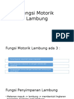 Fisiologis Lambung