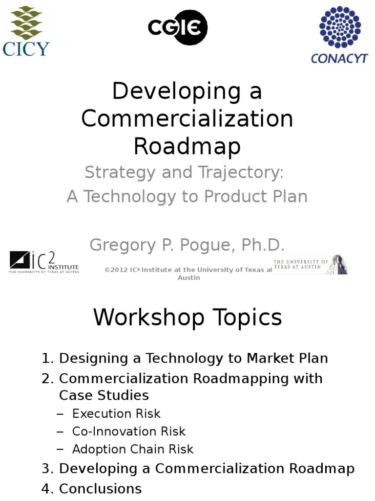 GPP - Developing A Commercial Roadmap | PDF | Supply Chain | Innovation