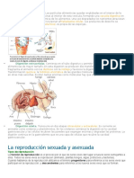 Tipos de Digestión