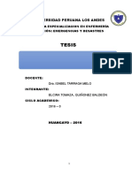 Proyecto de Tesis - Niveles de Satisfaccion - Elcira Quiñonez