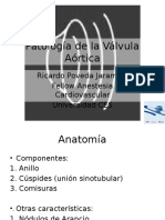 Pathology of the Aortic Valve