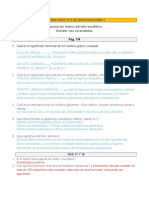 Microanatomia Lab. 8