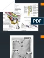 Hernia Skrotalis PPT - Novika Sherly