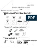 Prueba Los Sentidos 1 Basico