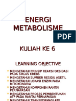 Energi Metabolisme
