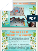 analogadelaclulaylaciudad-131124183254-phpapp01