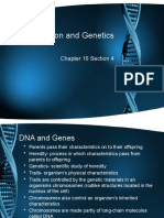 16-4 Reproduction and Genetics Web