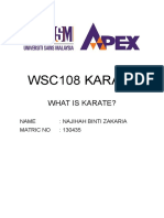 Wsc108 Karate