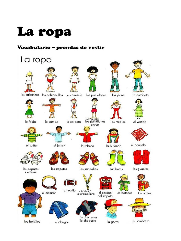 La ropa Vocabulario prendas de vestir