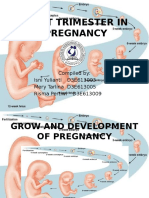 First Trimester in Pregnancy