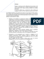 Sistema Nervioso Autónomo