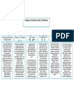 Organizador Visual C