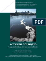 Responsabilidade Dano Ambiental_Actas.PDF