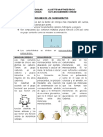 Resumen de Los Carbohidratos APART 15