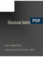 ESTRUCTURAS SEDIMENTARIAS.pdf