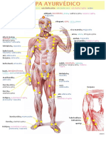 Mapa Ayurvedico A
