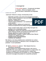 Structura Plan Managerial