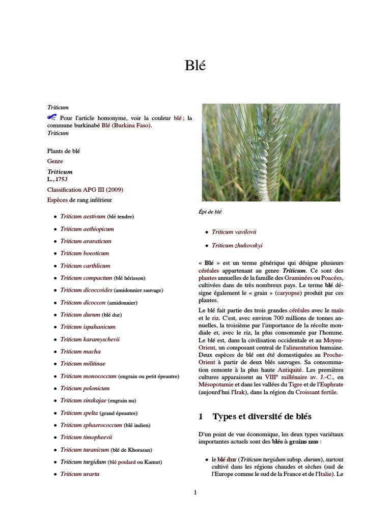 Types de blé et diversité génétique | PDF | Blé | Céréale