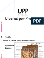 UPP