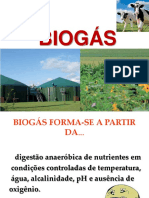 Biogas - 