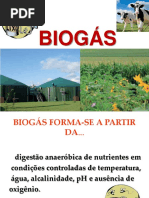 Biogas - 