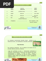 Formato carta renuncia tesorero