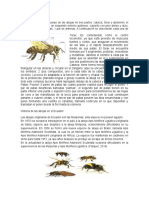 ABEJAS