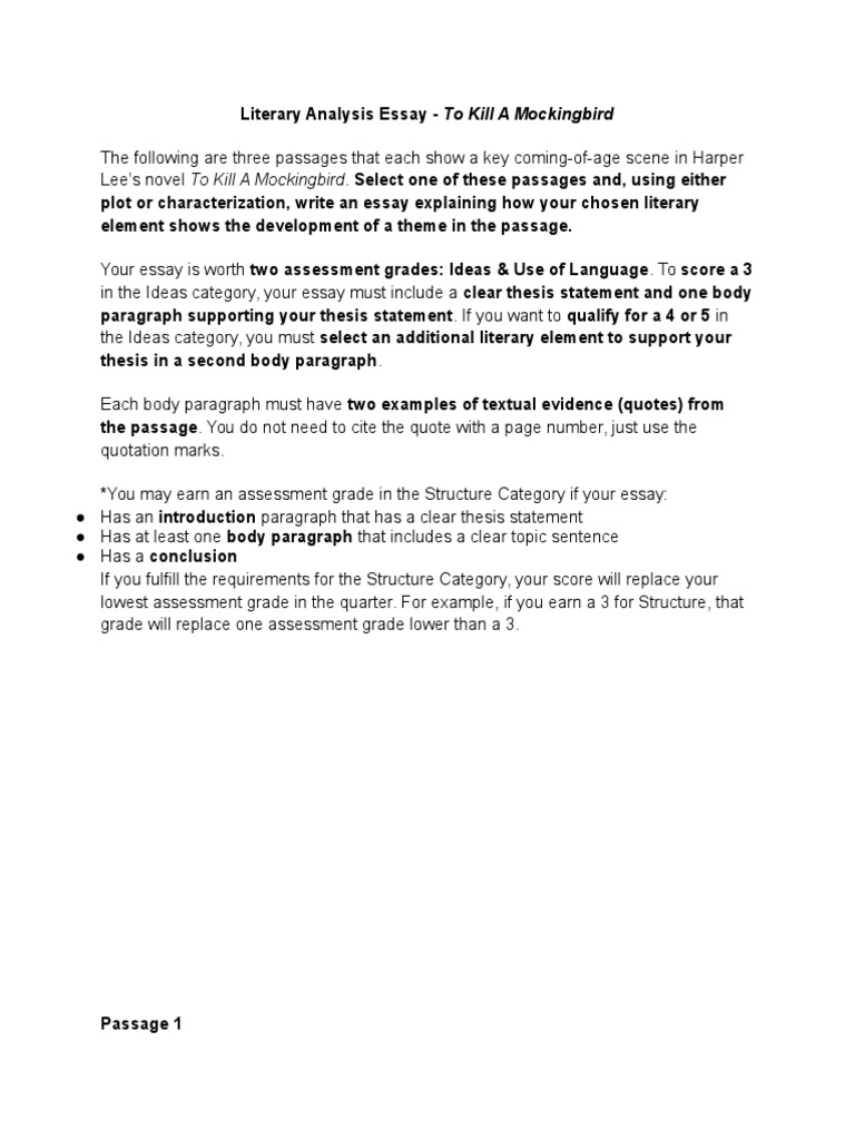 Literary Analysis Essay  To Kill A Mockingbird  Essays