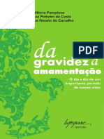 6j7hg06kev_2010_11_livreto_gravidez_digital.pdf