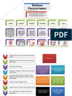 Sistem Pencernaan Manusia