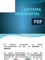 Sistema Urogenital