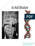 Nucleic Acids1-1