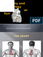 Physiology Cardiovascular System