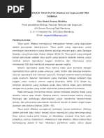 Download Sistem Reproduksi Tikus Putih by Eka Abdul Rozaq Shiddiq SN311329705 doc pdf