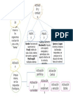 Activacion y Conducta (Mapa)