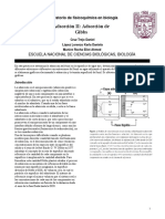 Determinación de la adsorción de Gibbs del fenol en la interfase aire-agua