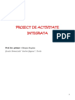 Proiecte Didactice La Clasa Pregatitoare PDF