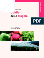 2005 Oidio Della Fragola