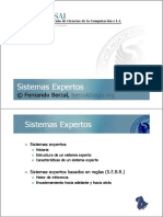 A2 Expert Systems.pdf