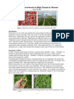 Growing_Strawberries_in_High_Tunnels.pdf