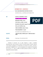 INFORME DE PAVI FINAL.docx