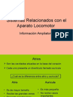 Info ampliatoria Sistemas relacionados con el Aparato Locomotor.ppt