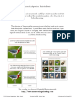 Adaptarea Animalelor Cartonas PDF