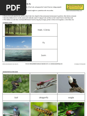 miscarea animalelor cartonas.pdf