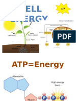 cell energy general biology