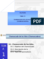 2015-02 TEMA 12 CHAMUSCADO.pptx