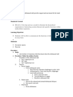 abdominal wall