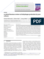 Review Paper on Biohydrogen