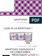 Apoptosis