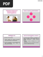 Princípios Básicos Da TCC